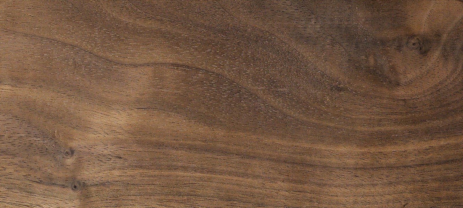 American Black Walnut