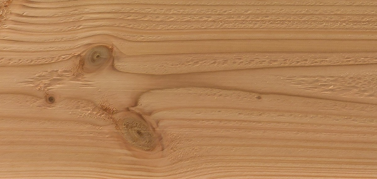 British Larch Cladding