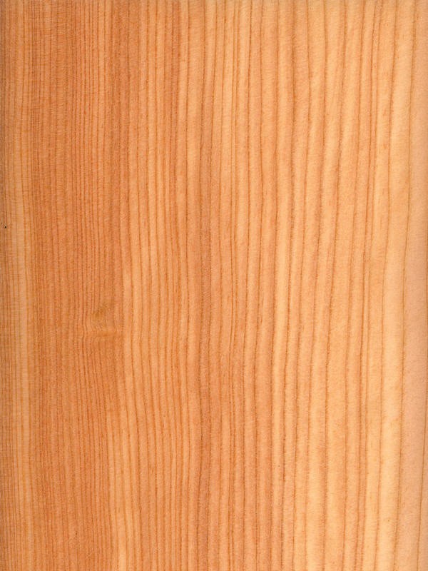 Larch Quarter Cut