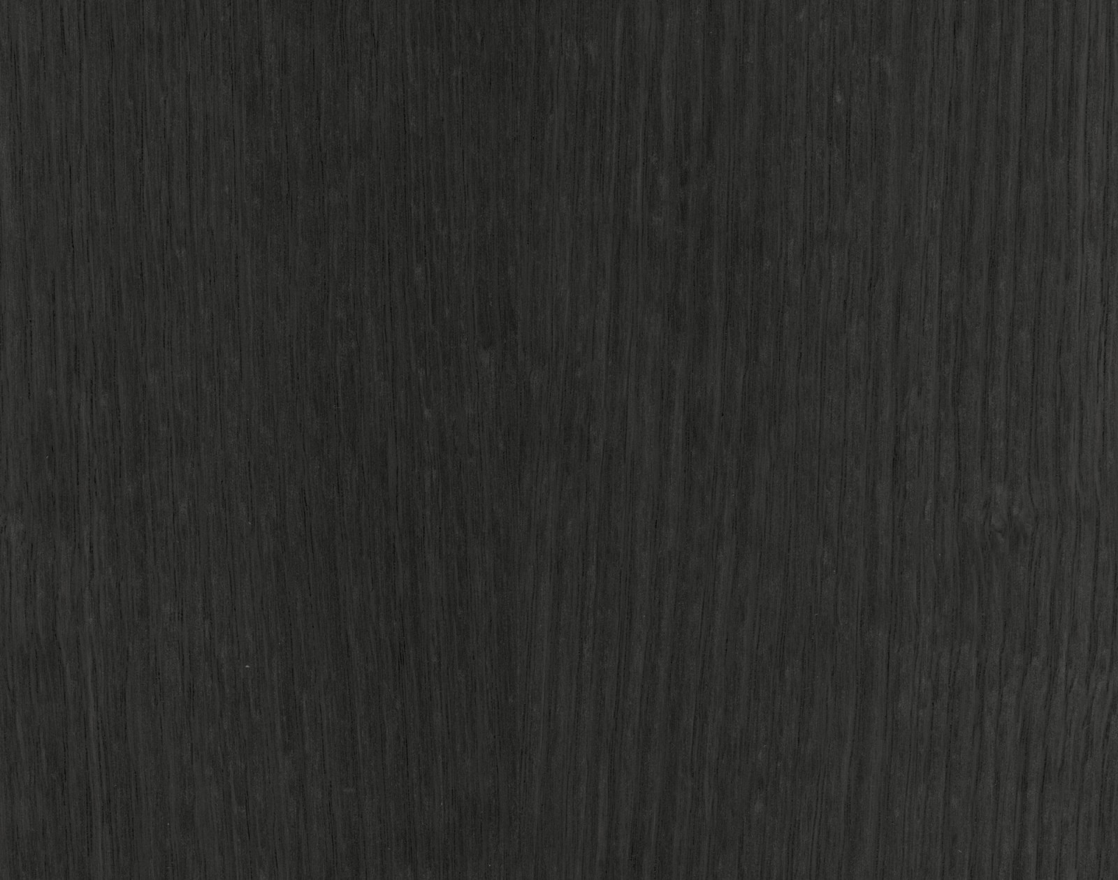 Azabache Oak Dyed