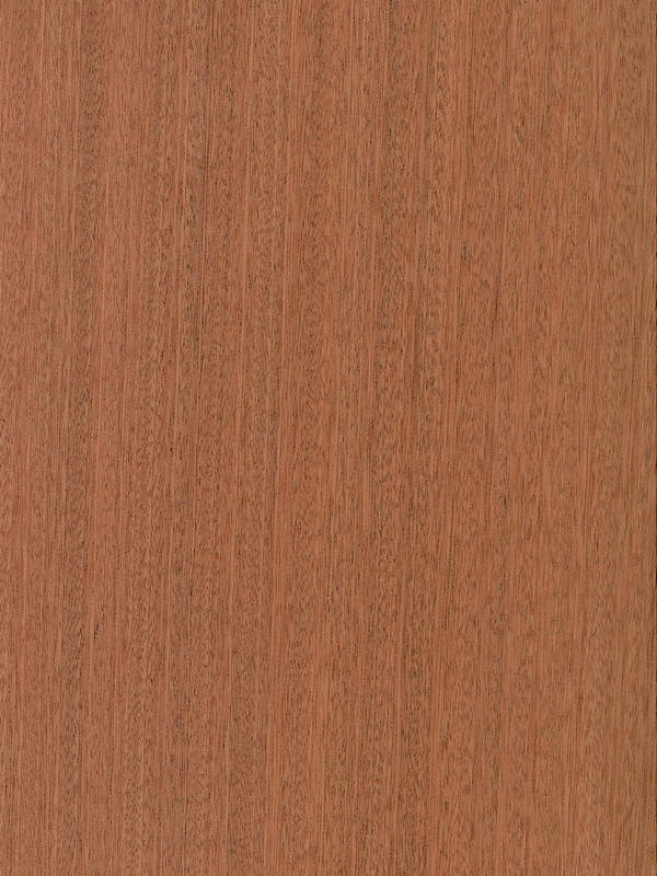 Sapele Quarter Cut
