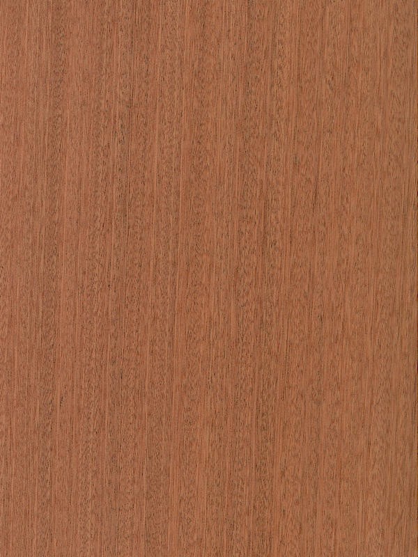 Sapele Quarter Cut