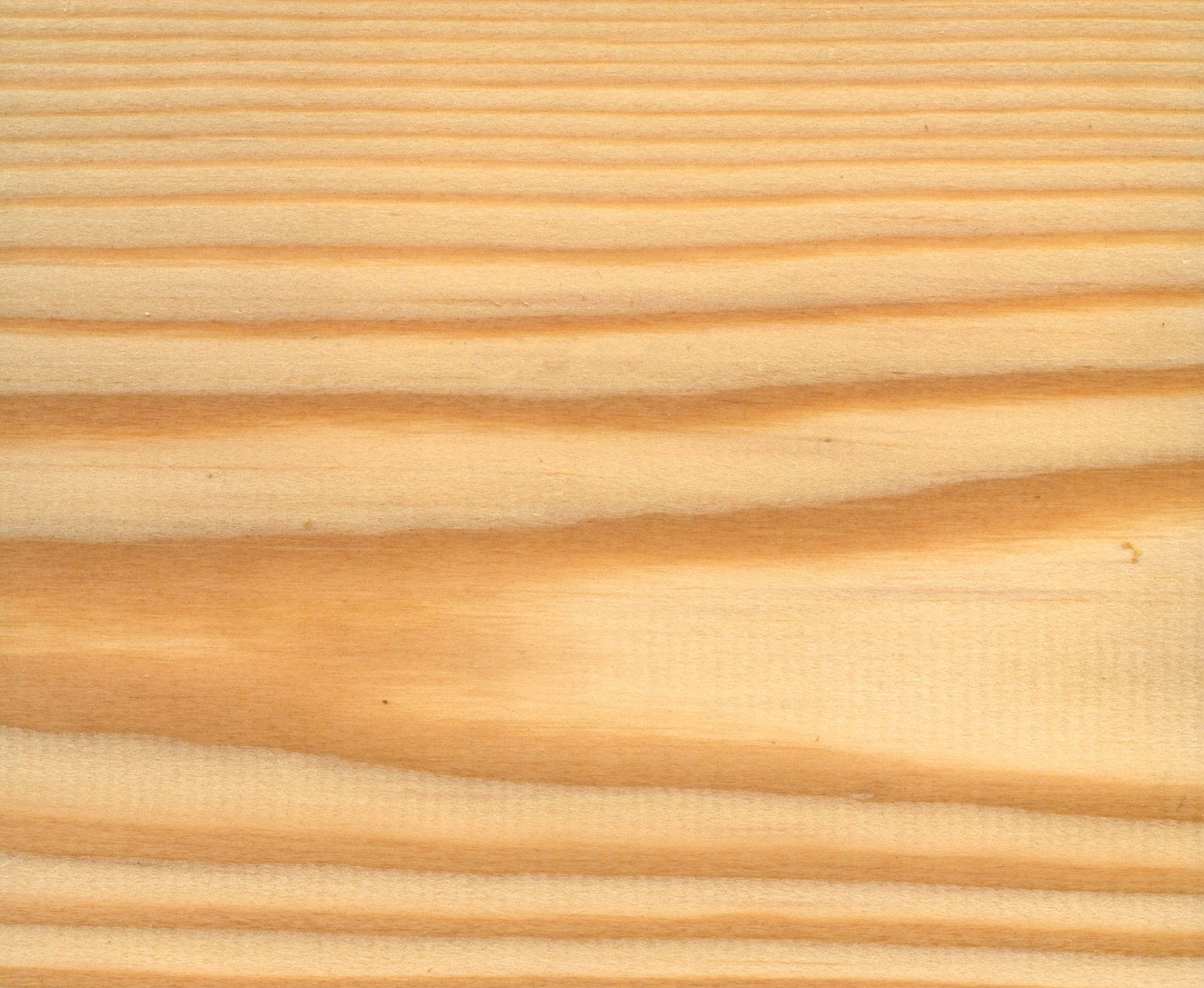 Siberian Larch Cladding