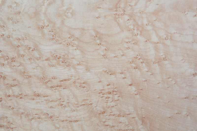 Birds Eye Maple Silk