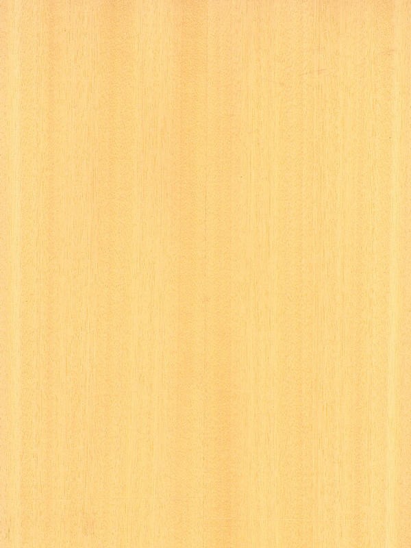 Koto Quarter Cut