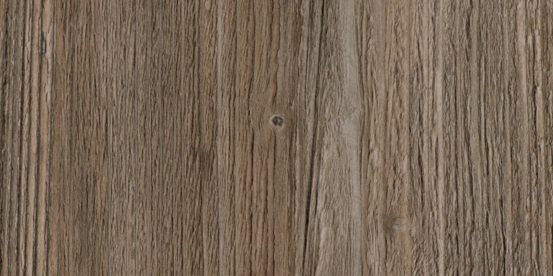 Ponderosa Pine