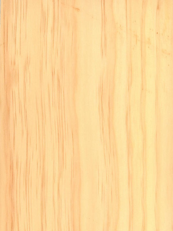 Radiata Pine Quarter Cut