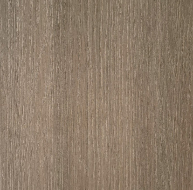 Silvanus LB22